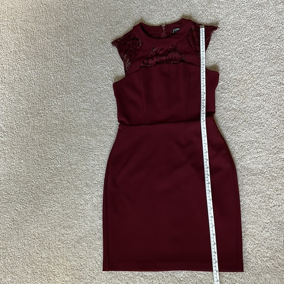 Express Lace Dress - Picture 12 of 15